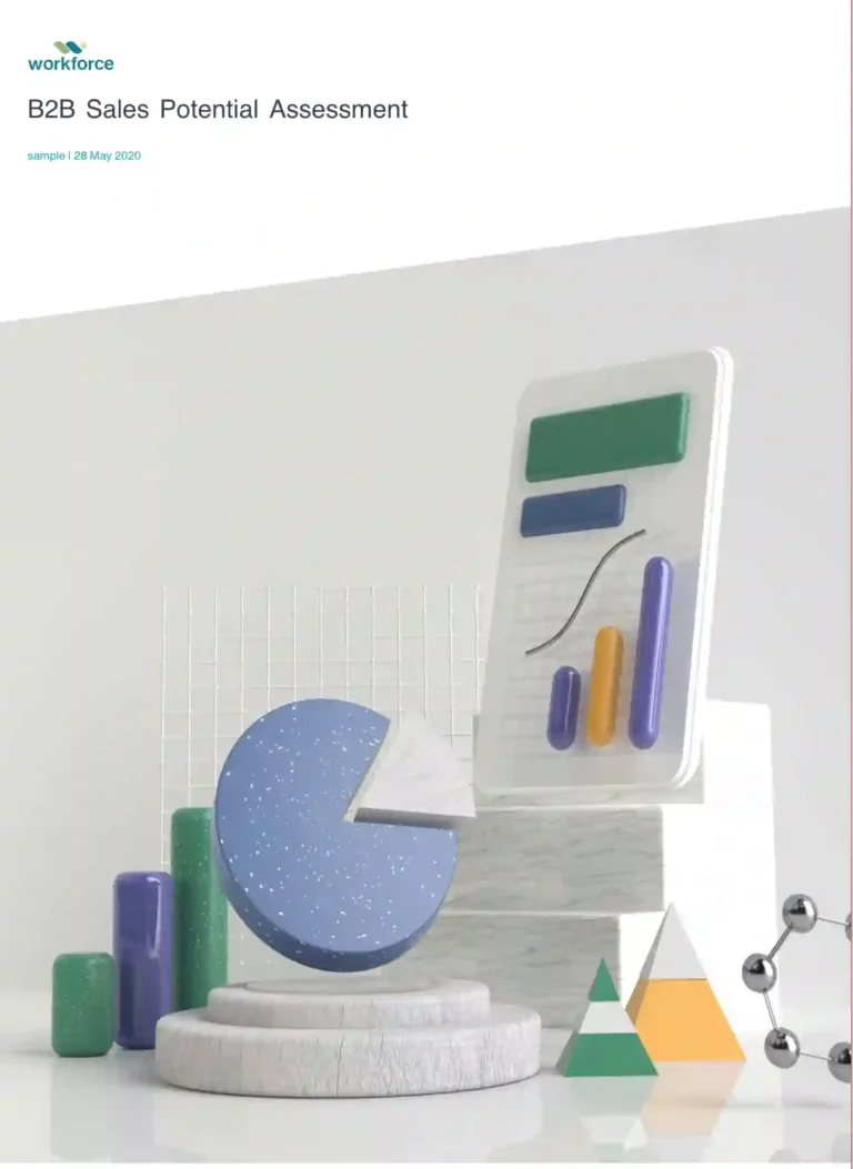 B2B Sales Potential Assessment - view sample report