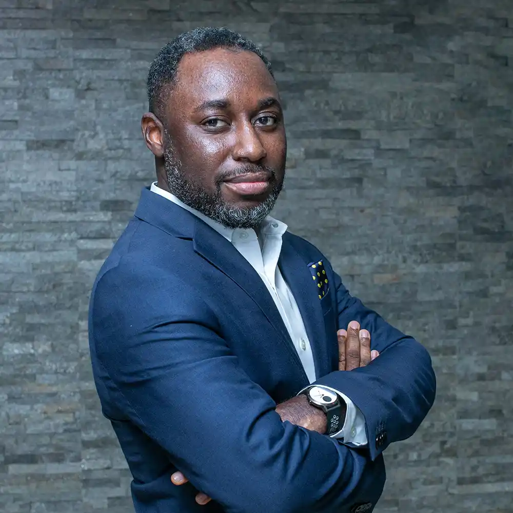 A professional image of the ceo - Foluso Aribisala