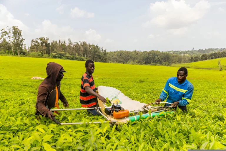 Outsourcing in Agritech