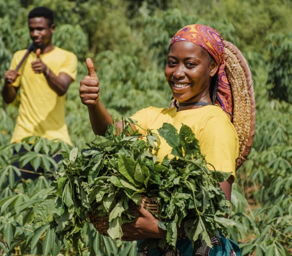 Countryside workers out in the field